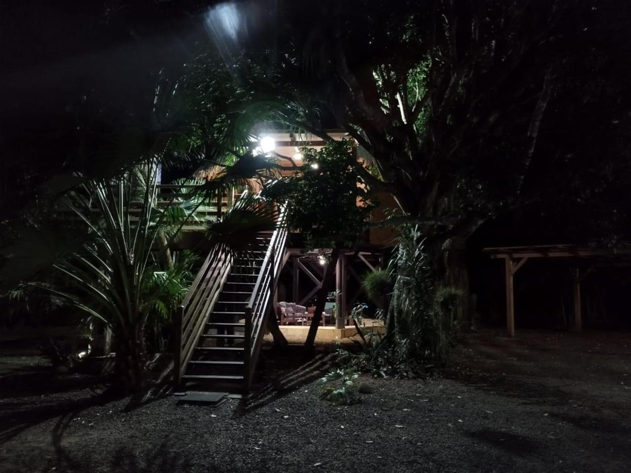 Gite Du Manial "Cabane Du Sentier Des Etoiles" Pointe-Noire Exterior photo