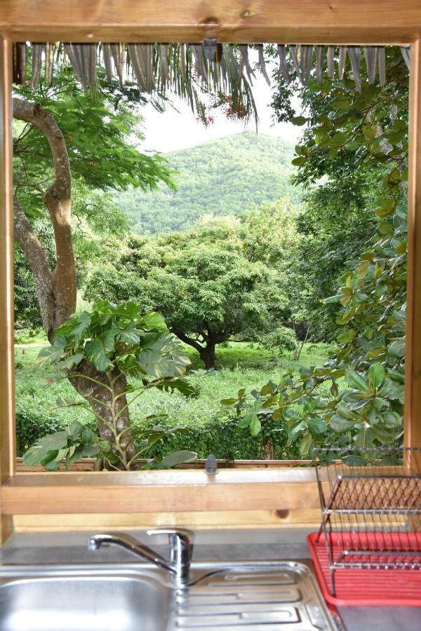 Gite Du Manial "Cabane Du Sentier Des Etoiles" Pointe-Noire Room photo